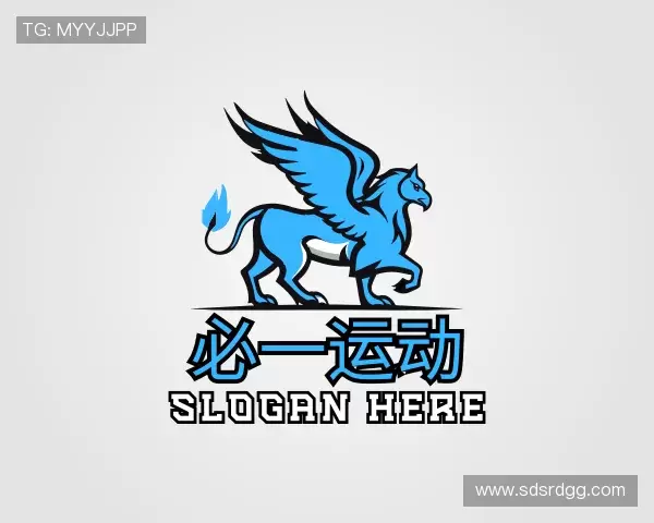 认识B体育官网